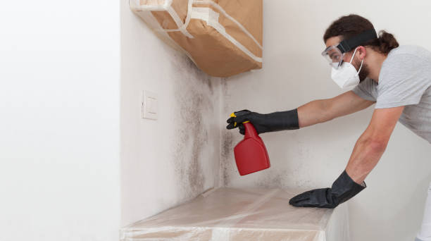 Professional Basement Mold Remediation technician working in Ridgefield Park, NJ